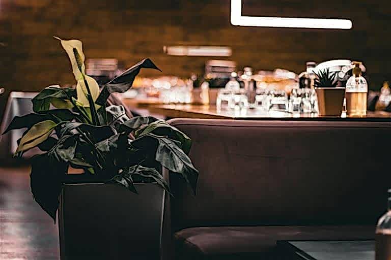 Restoran İç Mimarisi: İç Mekanlarda Bitkilerin Rolü.